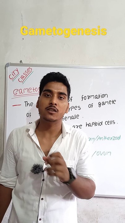 Gametogenesis | Gametogenesis in Hindi | Gametogenesis biology | what is Gametogenesis #cityclasses