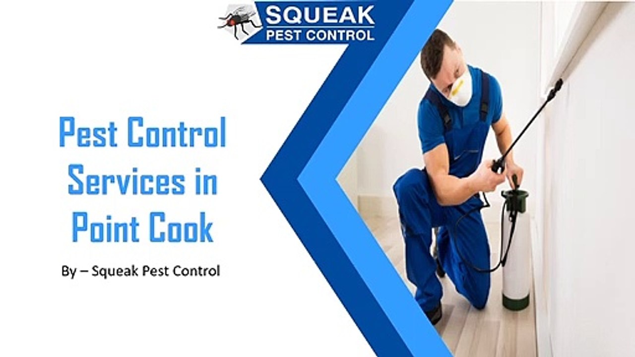 Pest Control Services in Point Cook | Squeak Pest Control | Best Pest Controller