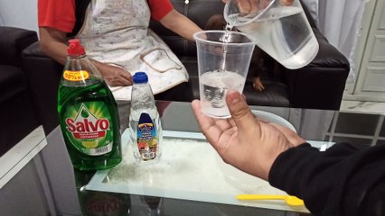 Cómo eliminar Pulgas en perros y gatos