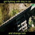 girl fighting with dog in car and strange luck