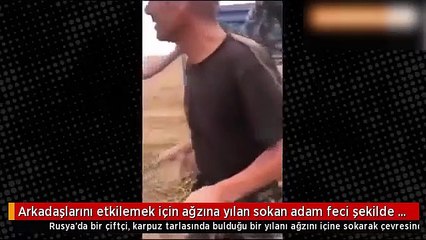 Canlı yılanı ağzına soktu! Feci şekilde can verdi