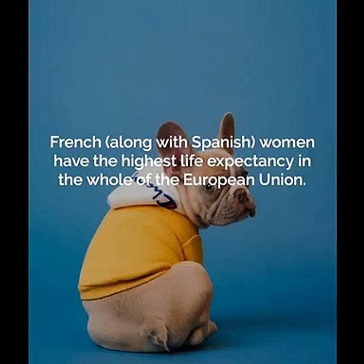 The best facts