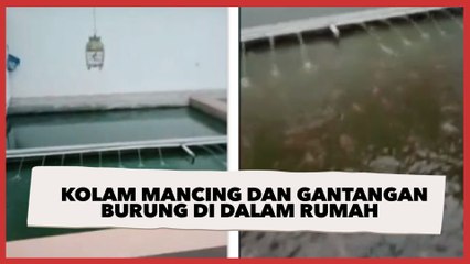 Viral Kolam Pemancingan dan Gantangan Burung di Dalam Rumah, Kisah di Baliknya Disorot