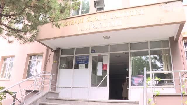 Arı ürünlerinin kemoterapinin yan etkilerini azalttığı bilimsel olarak kanıtlandı