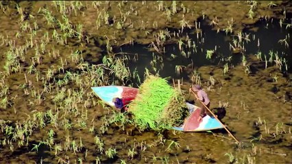 ...الخصائص التي تجعله لا غنى عنه في صناعة ا...