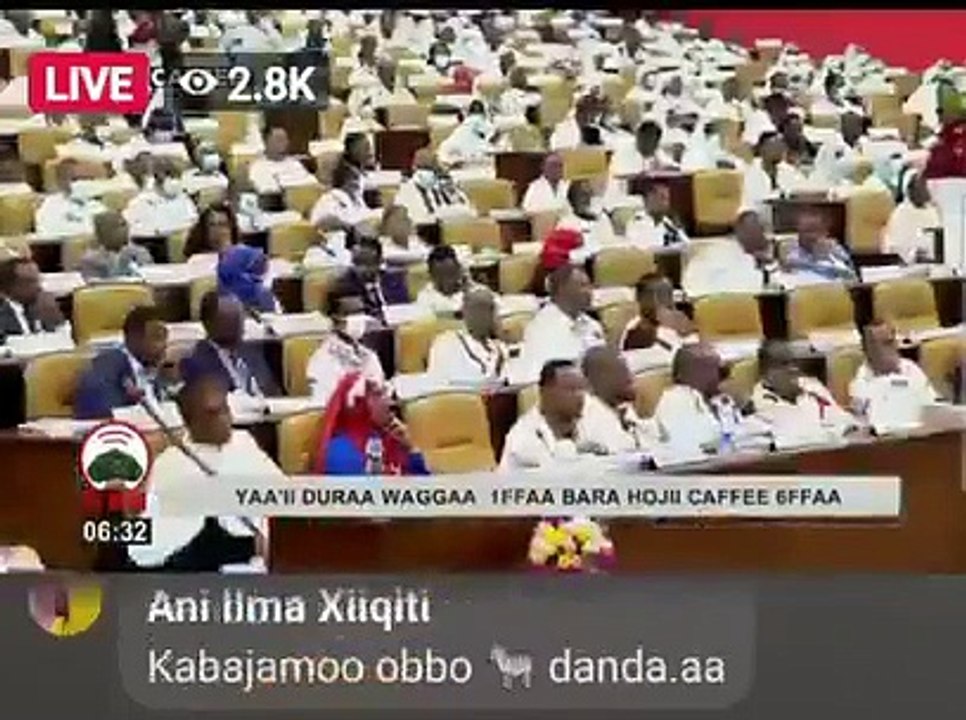 Taye Dendea Aredo  bo'aa Jirra.