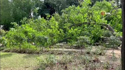 Son dakika haberleri! Edirnekapı Şehitliği'nde İBB'nin kestiği ağaçlar mezarlığın üzerine devrildi
