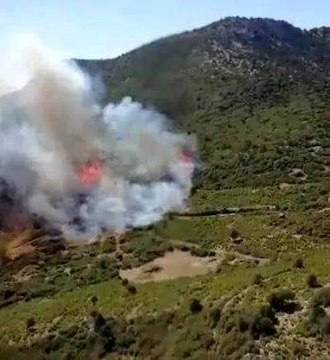 Burdur Bucak'ta orman yangını