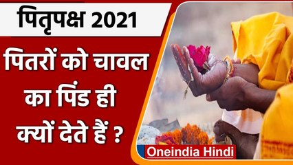 Pitru Paksha 2021: जानिए पिंडदान में चावल की पिंडी का क्या है महत्व? | वनइंडिया हिंदी