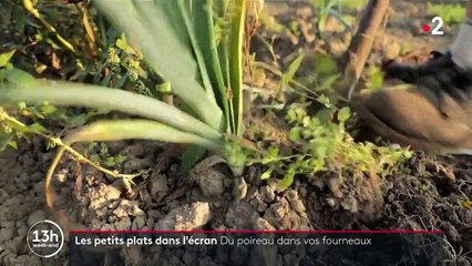 Les petits plats dans l'écran : à la découverte de la cuisine du poireau dans le Nord