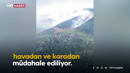 Burdur'da orman yangını