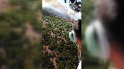Burdur'un Bucak ilçesinde orman yangını çıktı