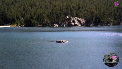 intro-logo-15-min-20210914-232221