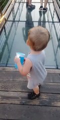Toddlers Attempt to Cross onto Glass Bridge