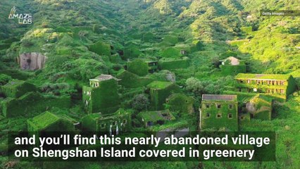 This Abandoned Chinese Village Turned Entirely Green