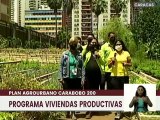 Activado al 100% el Organopónico Bolívar 1 de Caracas para el cultivo de hortalizas y plantas medicinales