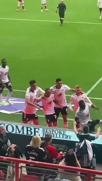 Les joueurs de Fulham célèbrent un but avec un jeune fan atteint de paralysie et victime d'harcèlement