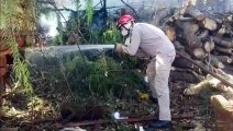 Pilha de lenhas pega fogo em imóvel no Santa Cruz e Corpo de Bombeiros é mobilizado
