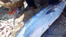 Amazing Seer Fish Cutting Skills_Expert Cutting Seer Fish In Kasimedu Fish Market ( 480 X 854 )