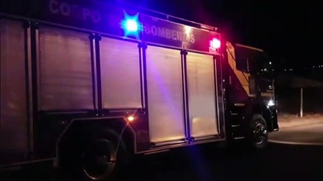 Bombeiros realizam a captura de um cobra no Santa Felicidade