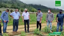 Cultivando Patria | Unidad de Producción La Primavera en Táchira incrementa el cultivo de hortalizas
