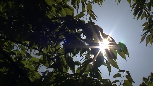 [날씨] 휴일, 완연한 가을 날씨...해안가 너울성 파도 유의 / YTN