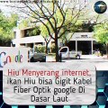 IKAN HIU MENYERANG KABEL INTERNET FIBER OPTIK