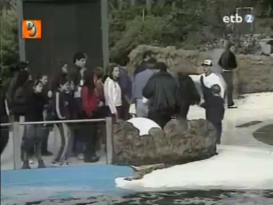 Videomatch El peor viaje de tu vida 005