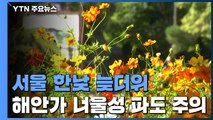 [날씨] 휴일, 완연한 가을 날씨...해안가 너울성 파도 유의 / YTN