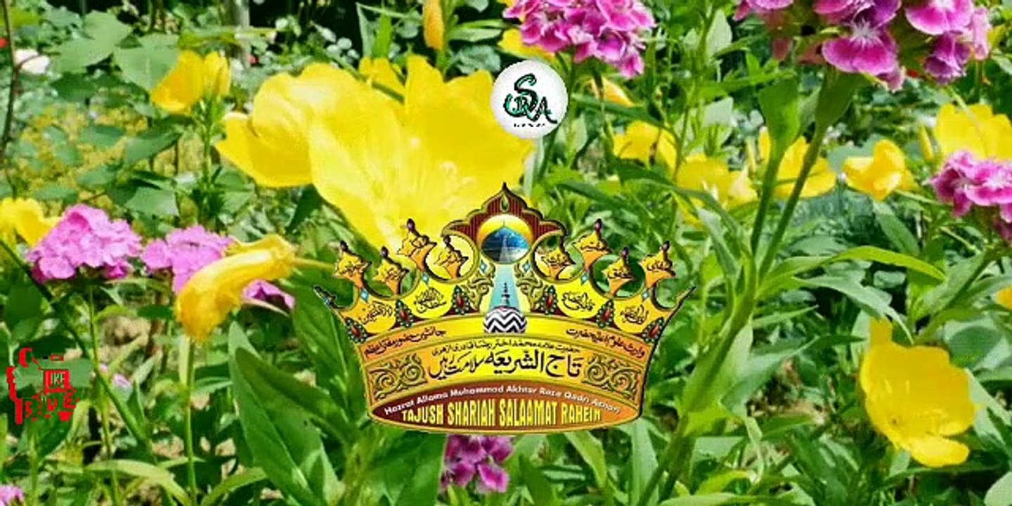 #JHUKI THI JABINE ADAB UNKE DAR PAR #NAAT