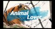 Beautiful Black Cat| Animal Lover| Animal Channel