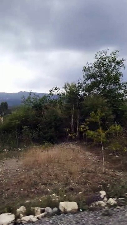 VID seru