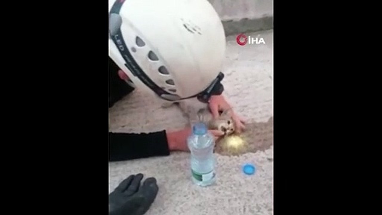 Kalbi duran kediye kalp masajı