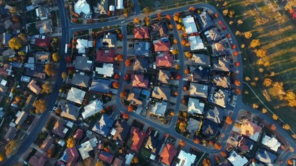 NEVER FIGHT ALONE Movie