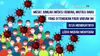 下载视频: Mengenal Varian R.1, Mutasi Baru Virus Corona, Seberapa Bahaya?