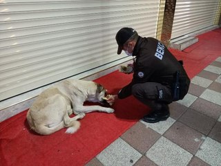 POLİS VE BEKÇİLER 'HUZUR- GÜVEN' UYGULAMASINDA YANLARINA GELEN KÖPEKLERİ BESLEDİ