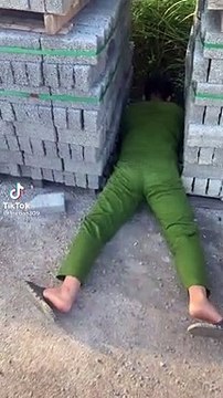 Đồng chí công an giải cứu cún