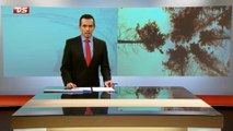 Orkanen Bodil & Vejrsituationen i Syd & Sønderjylland | 5-5 | Sendt i 19.30 udsendelsen den 8 December 2013 på TV SYD ~ TV2 Danmark