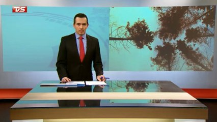 Descargar video: Orkanen Bodil & Vejrsituationen i Syd & Sønderjylland | 5-5 | Sendt i 19.30 udsendelsen den 8 December 2013 på TV SYD ~ TV2 Danmark