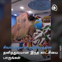 Stunning Visuals of Lord Shiva and His Divine Family ✨