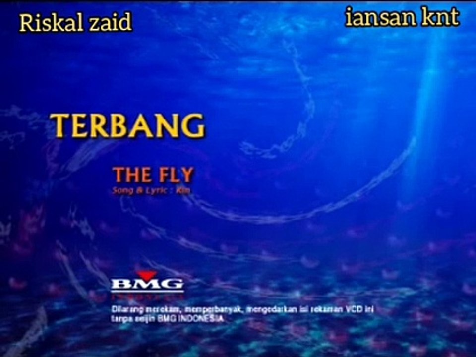 Karaoke terbang The fly