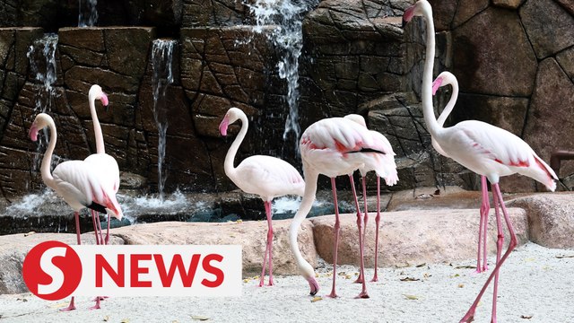 Theme parks should be allowed to re-open, says Deputy Tourism Minister