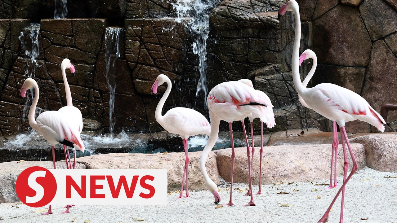 Theme parks should be allowed to re-open, says Deputy Tourism Minister