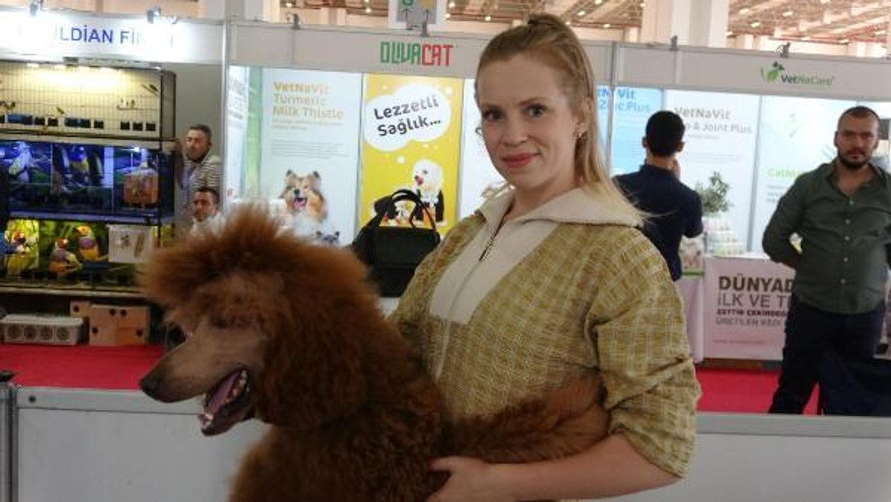 İZMİR'DE KÖPEKLER İÇİN 'ULUSLARARASI IRK STANDARTLARI YARIŞMASI'