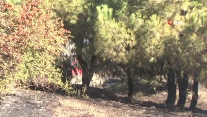 Son dakika haberi! Bayrampaşa Meyve ve Sebze halinin yanında korkutan yangın