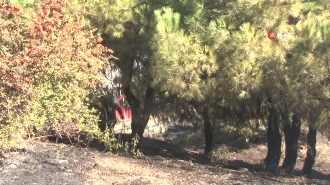 Son dakika haberi! Bayrampaşa Meyve ve Sebze halinin yanında korkutan yangın