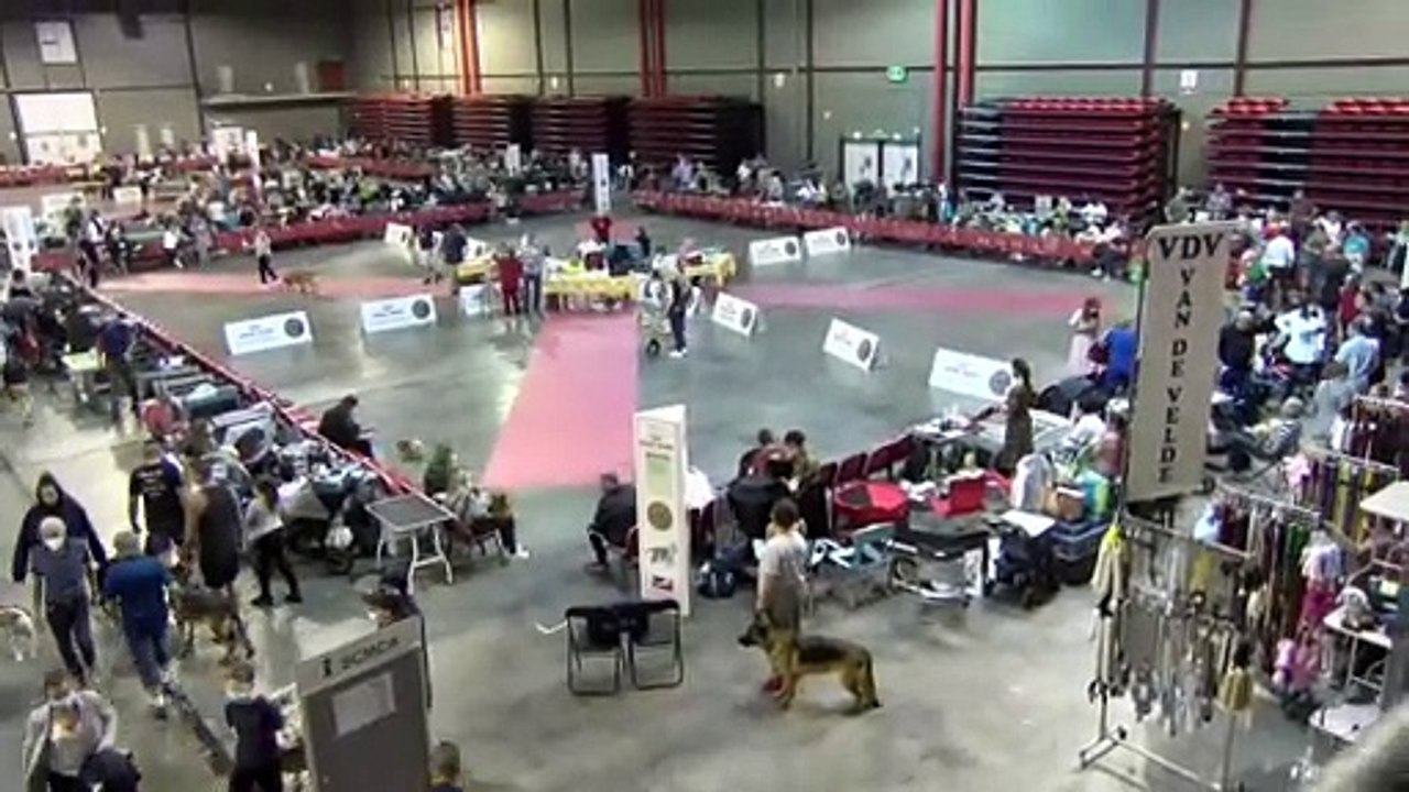 À Martigues s'est déroulé un concours de beauté pour chiens!