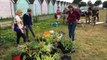 Eastney residents begin re-wilding green space with fruit trees as 'huge' interest in re-wilding grows across Portsmouth