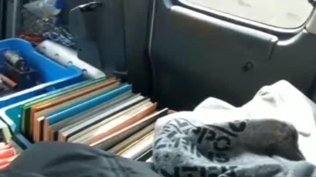 Los palmeros afrontan con tristeza la pérdida de sus hogares, sus negocios y sus recuerdos