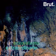 El secreto de las chimeneas de mar 